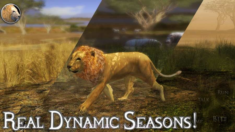 终极狮子模拟器无限经验免费版截图1 终极狮子模拟器无限经验免费版截图1