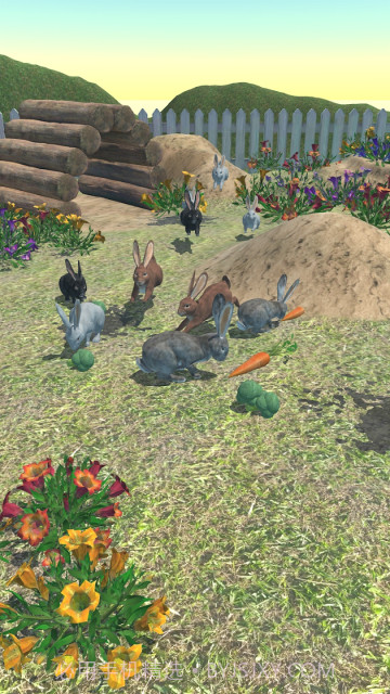 兔子朋友截图2