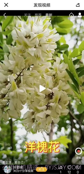 趣豆壳短视频截图4