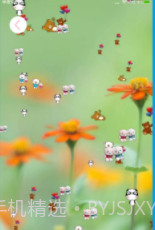 相片动态壁纸截图3