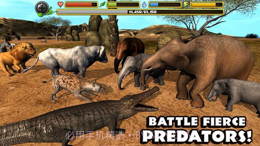 大象模拟器截图2 大象模拟器截图2