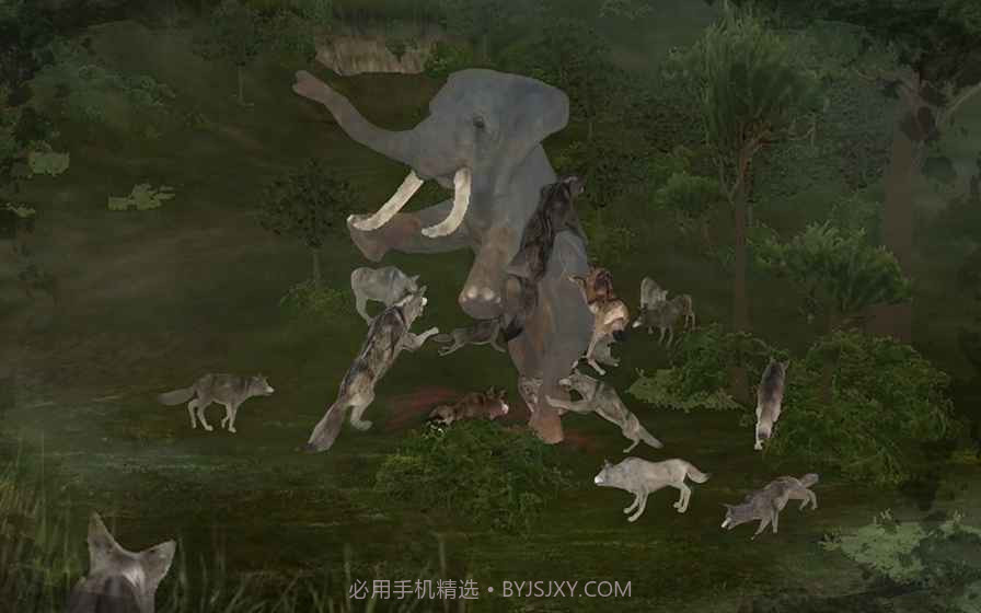 动物世界最新截图3