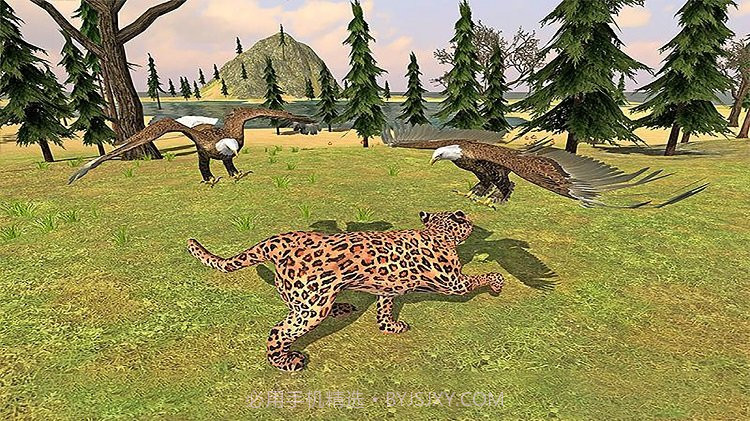 猎鹰模拟器截图2 猎鹰模拟器截图2