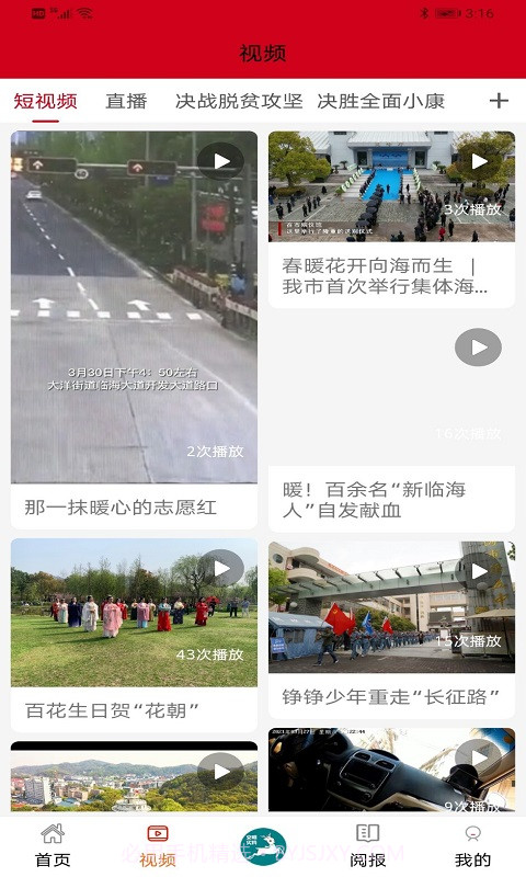 掌心临海安卓正版截图2