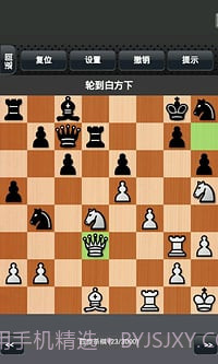 国际象棋下载免费版截图1