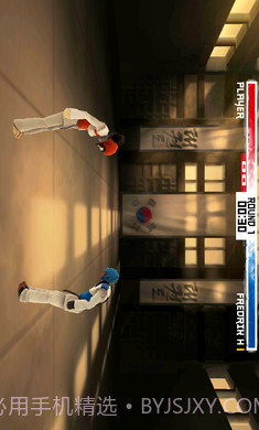 跆拳道大奖赛国际版截图1