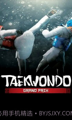 跆拳道大奖赛正版截图2 跆拳道大奖赛正版截图2