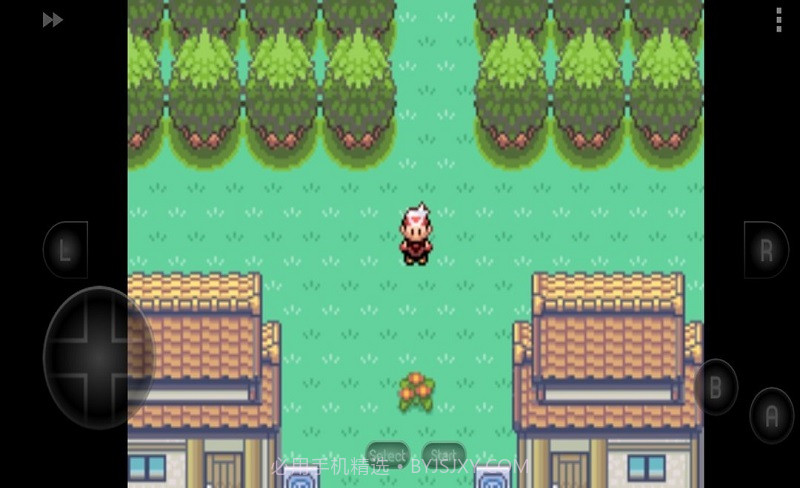 口袋妖怪漆黑的魅影截图4