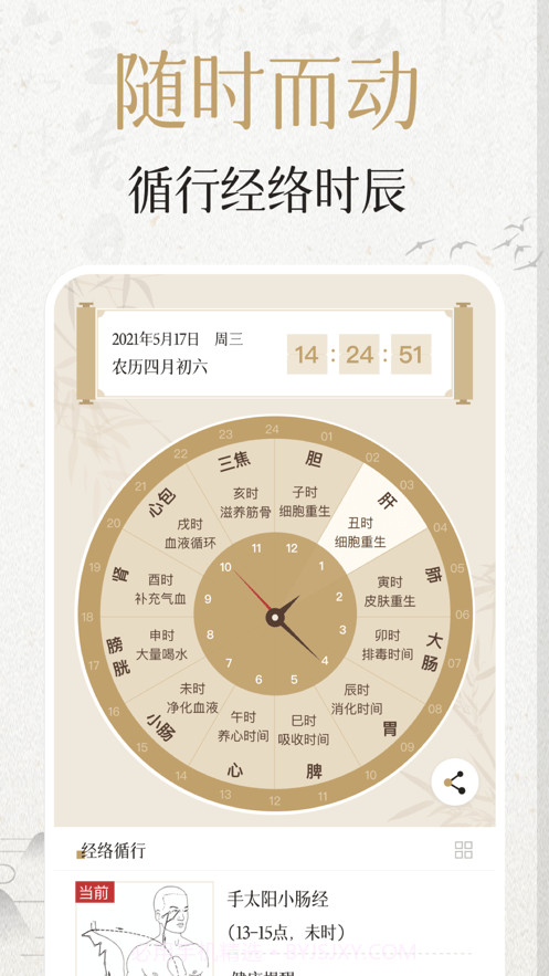 中济经络穴位截图4