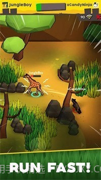 稀树草原捉迷藏截图2