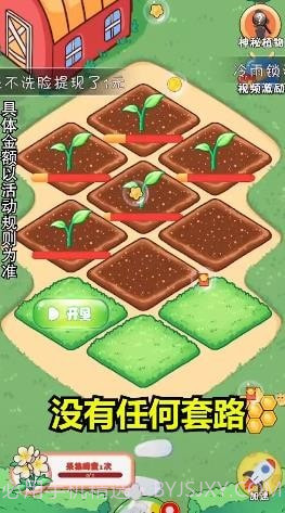 我的大花园截图1