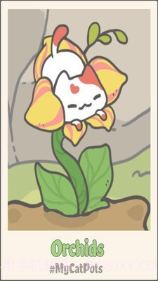 我的猫盆栽截图4