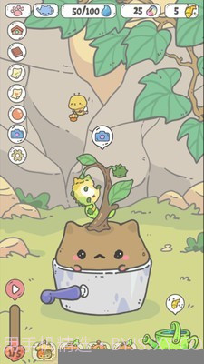 我的猫盆栽截图1