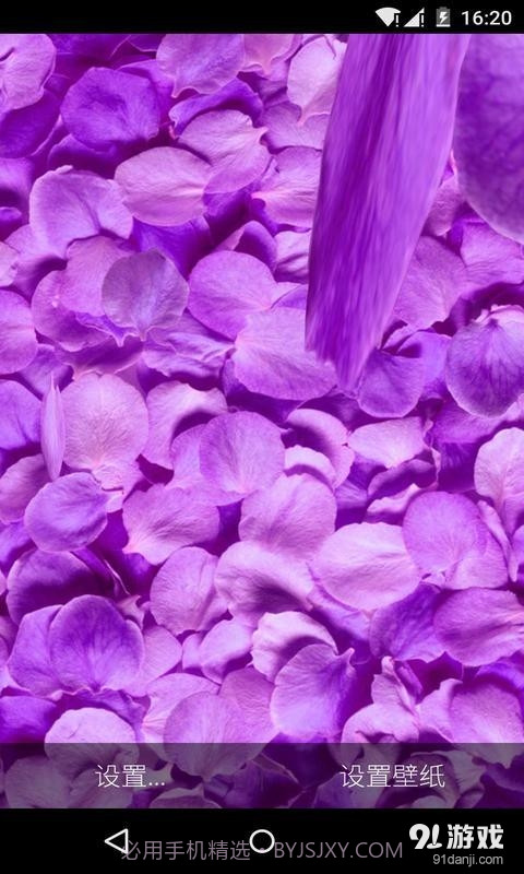 3D落花海：梦象动态壁纸截图2