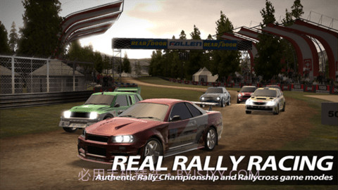 拉力赛（Rush Rally 2）截图2