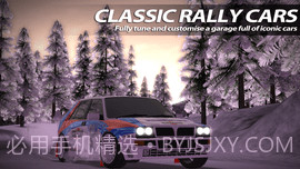 拉力赛2Rush Rally 2截图2
