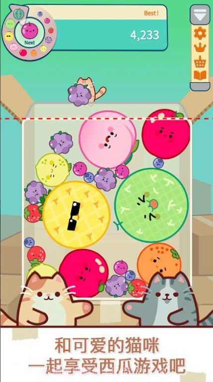 猫和西瓜截图4