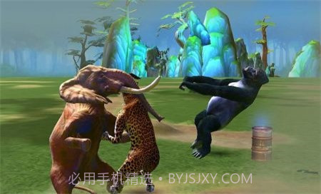 野生动物功夫乱斗截图1 野生动物功夫乱斗截图1