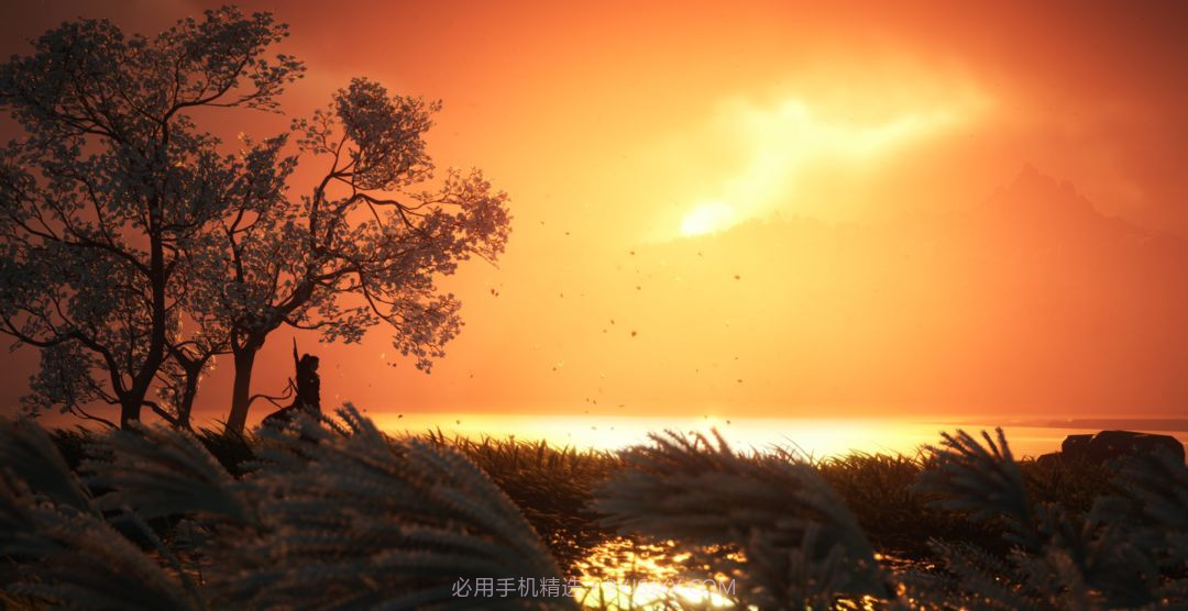 燕云十六声单机版截图8