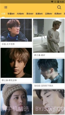 MV下载器最新版截图2