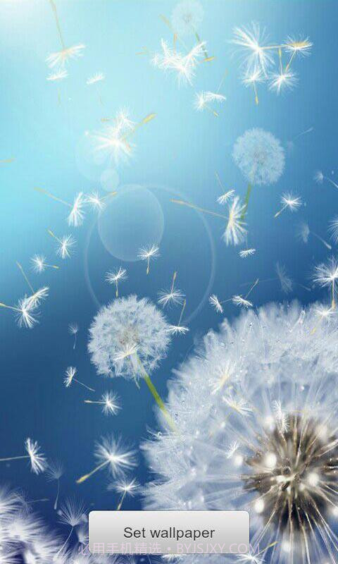 恋上蒲公英梦象动态壁纸安卓V1.2.11 中文版截图3