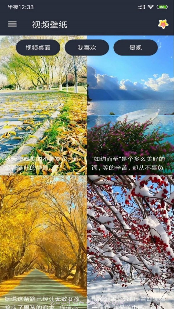 视频壁纸截图3 视频壁纸截图3