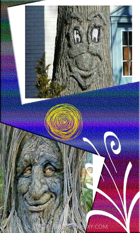 美美相框照相机截图3