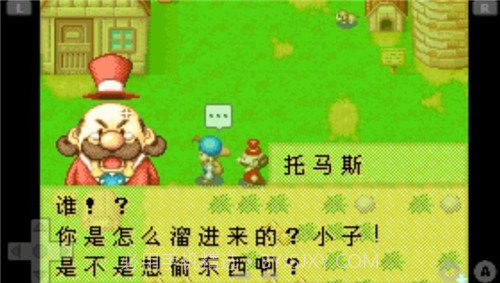 牧场物语矿石镇的伙伴们中文版截图1 牧场物语矿石镇的伙伴们中文版截图1