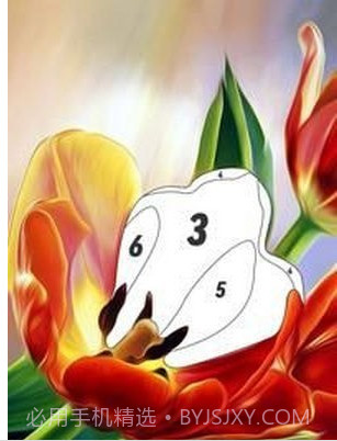 按编号花色截图2 按编号花色截图2