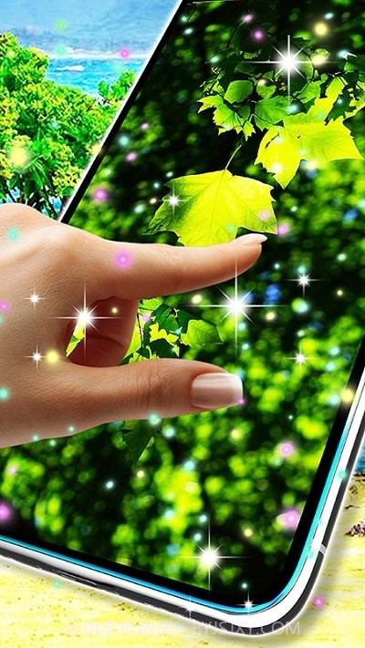 自然动态壁纸截图3