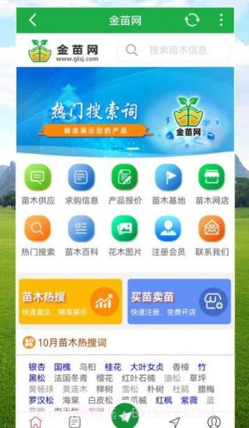 金苗网截图2 金苗网截图2