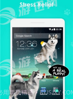 手机屏幕养狗免费版截图1 手机屏幕养狗免费版截图1