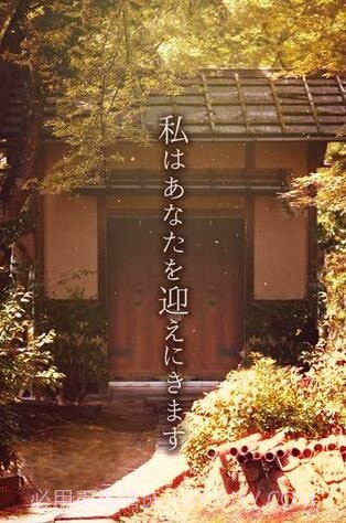 逃离樱花节截图4