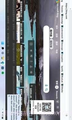 Win11模拟器中文版截图2
