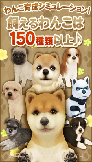 掌心小狗截图3 掌心小狗截图3