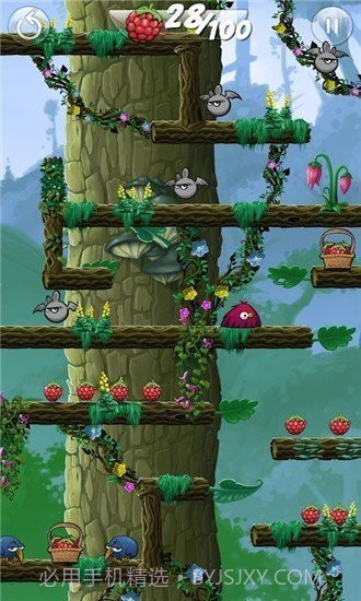 毛球冲截图2 毛球冲截图2