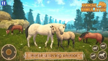 骑马世界模拟器截图3