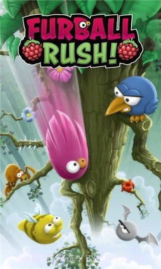 毛球冲截图1 毛球冲截图1