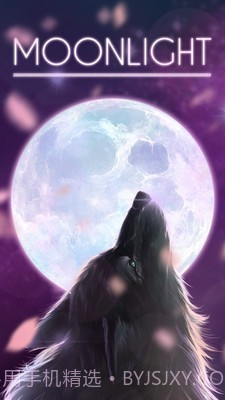 月下的狼截图1
