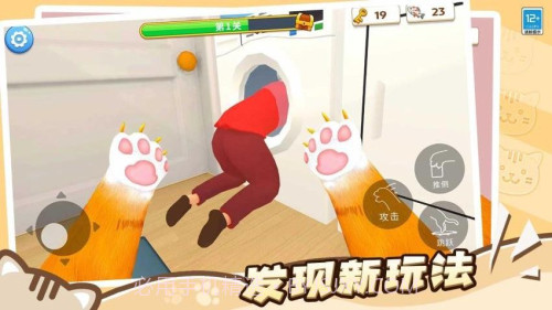 猫咪养成计划去更新版截图3
