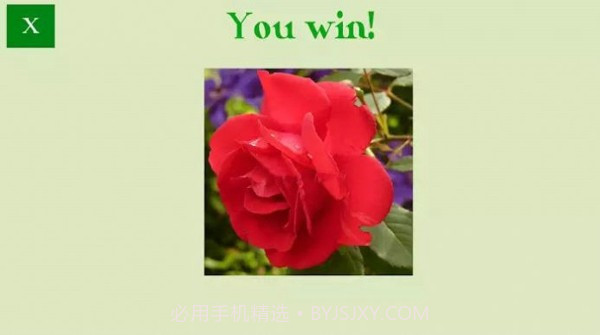 花卉拼图谜题截图3