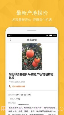 宁夏农产品信息网截图3