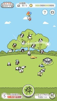 熊猫森林汉化版截图2