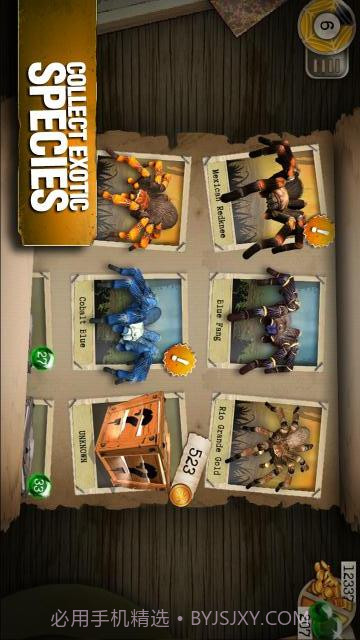 真正可怕的蜘蛛截图4