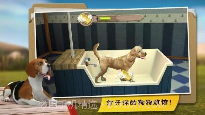 我的寄宿狗截图3 我的寄宿狗截图3