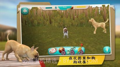 我的寄宿狗截图2 我的寄宿狗截图2