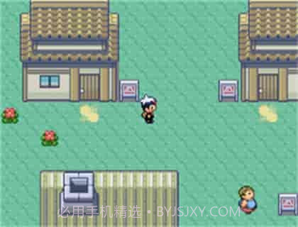 口袋妖怪蓝宝石截图3 口袋妖怪蓝宝石截图3