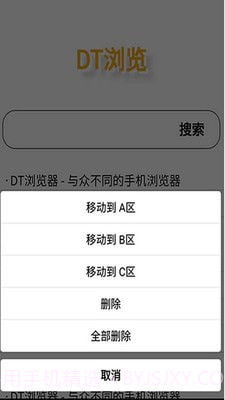 DT浏览器截图3
