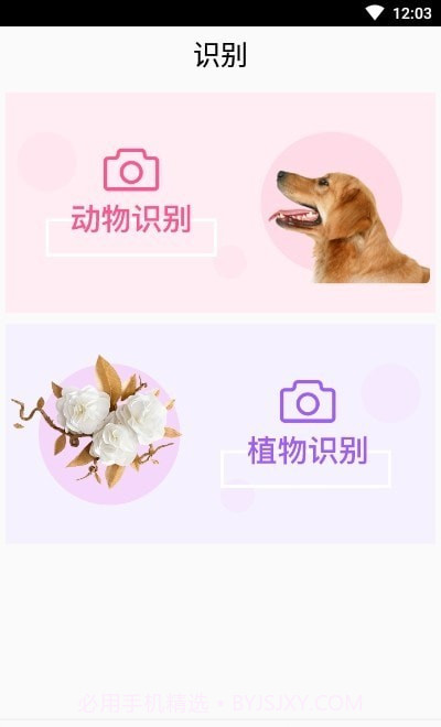 灵通植物识别截图2 灵通植物识别截图2