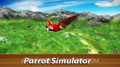野生鹦鹉生存丛林鸟模拟器截图1 野生鹦鹉生存丛林鸟模拟器截图1
